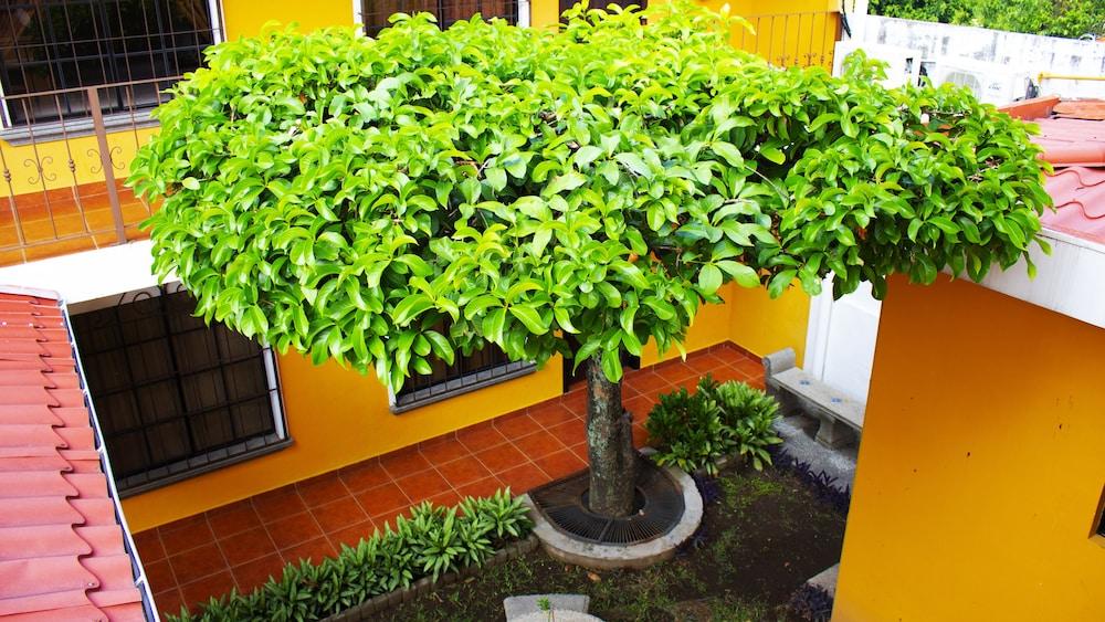 Hotel Villa Terra San Salvador Esterno foto